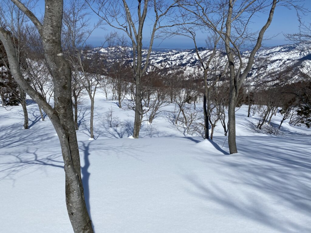 放山 南又ルート