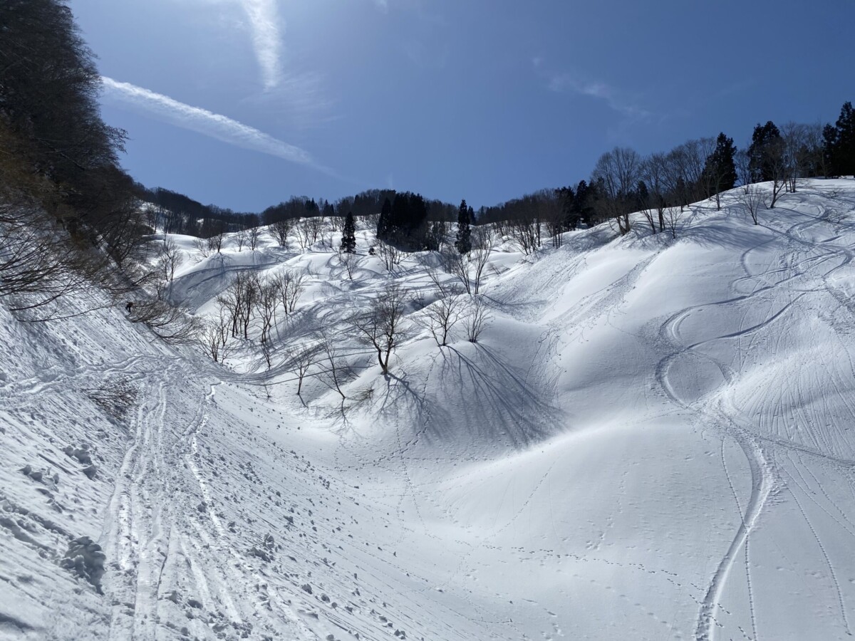 放山 南又ルート 飛山 裏