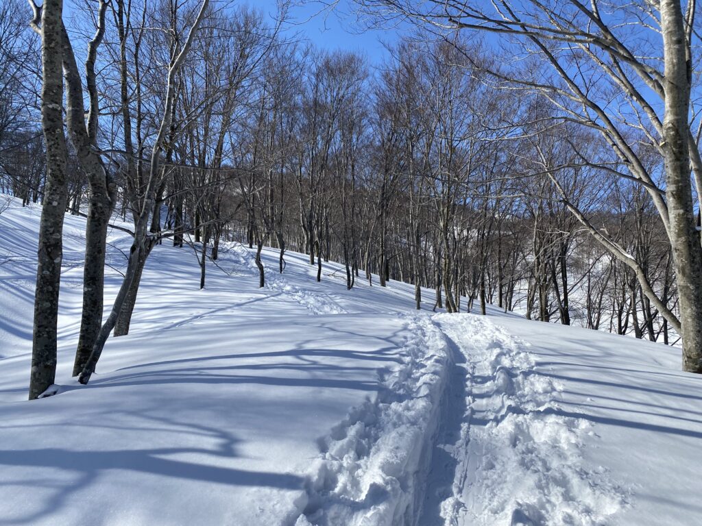 シャルマン火打 放山 ハイクアップルート