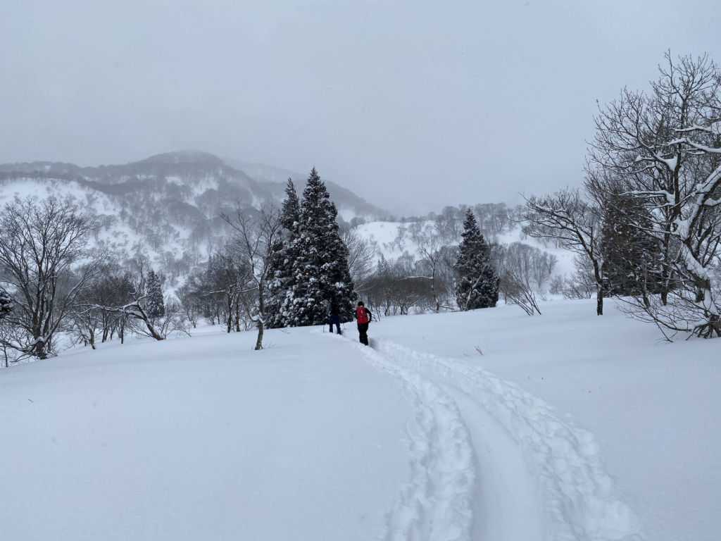 鍋倉山 平坦な林道