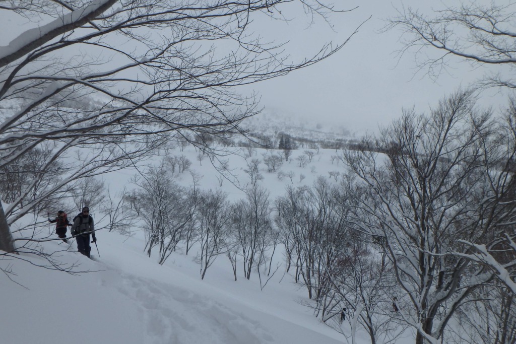 鍋倉山 北尾根の取り付き