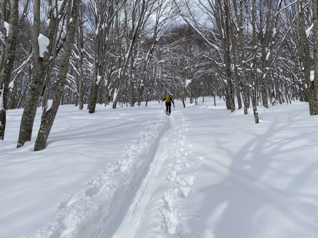 大渚山 ハイクアップ 南尾根