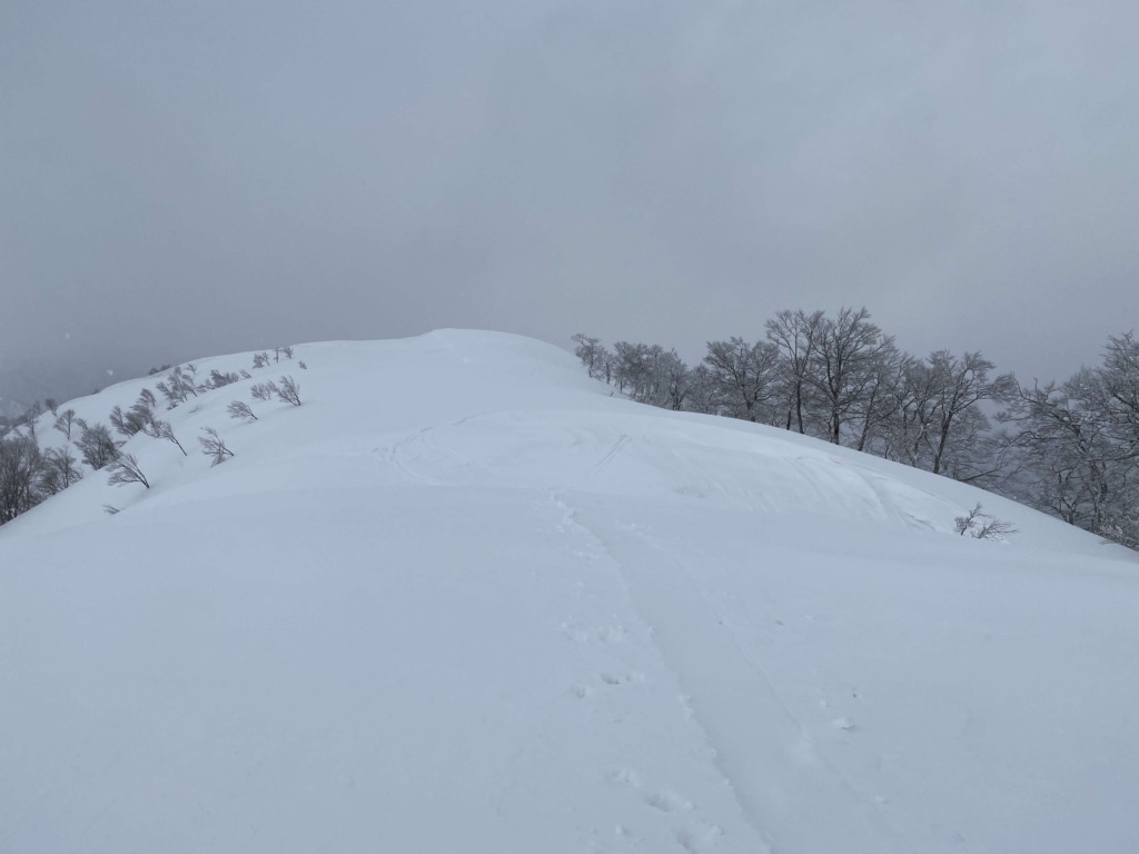 大渚山