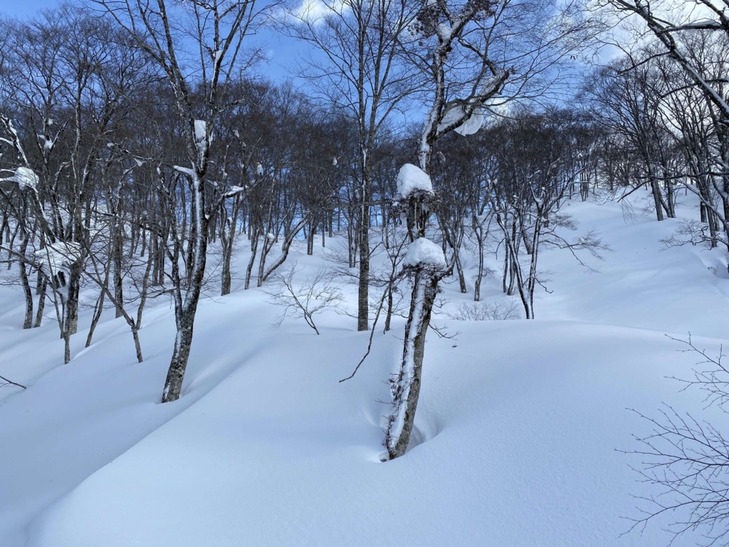 大渚山 北斜面 登り返し