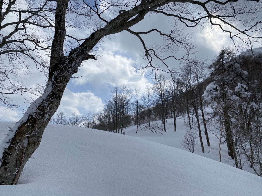 大渚山 北斜面 登り返し 鞍部