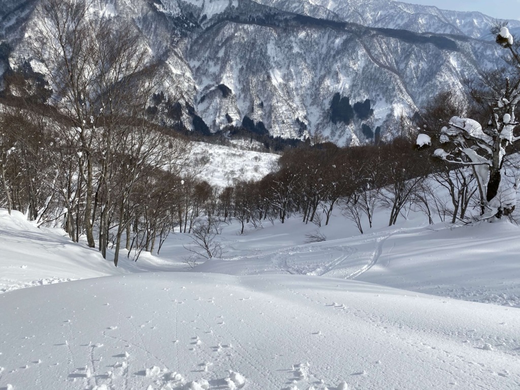 大渚山 南斜面