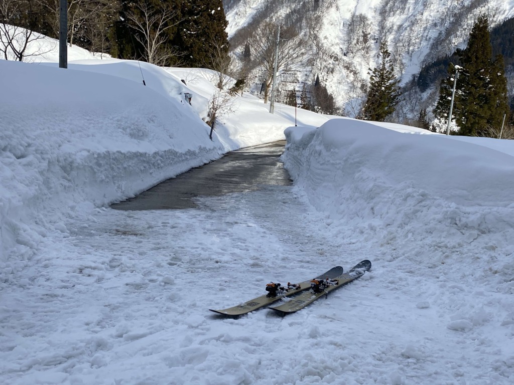 大渚山 大草連 下山