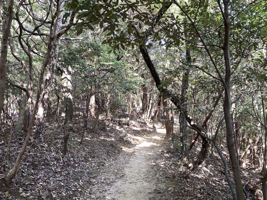 本宮山 登山道