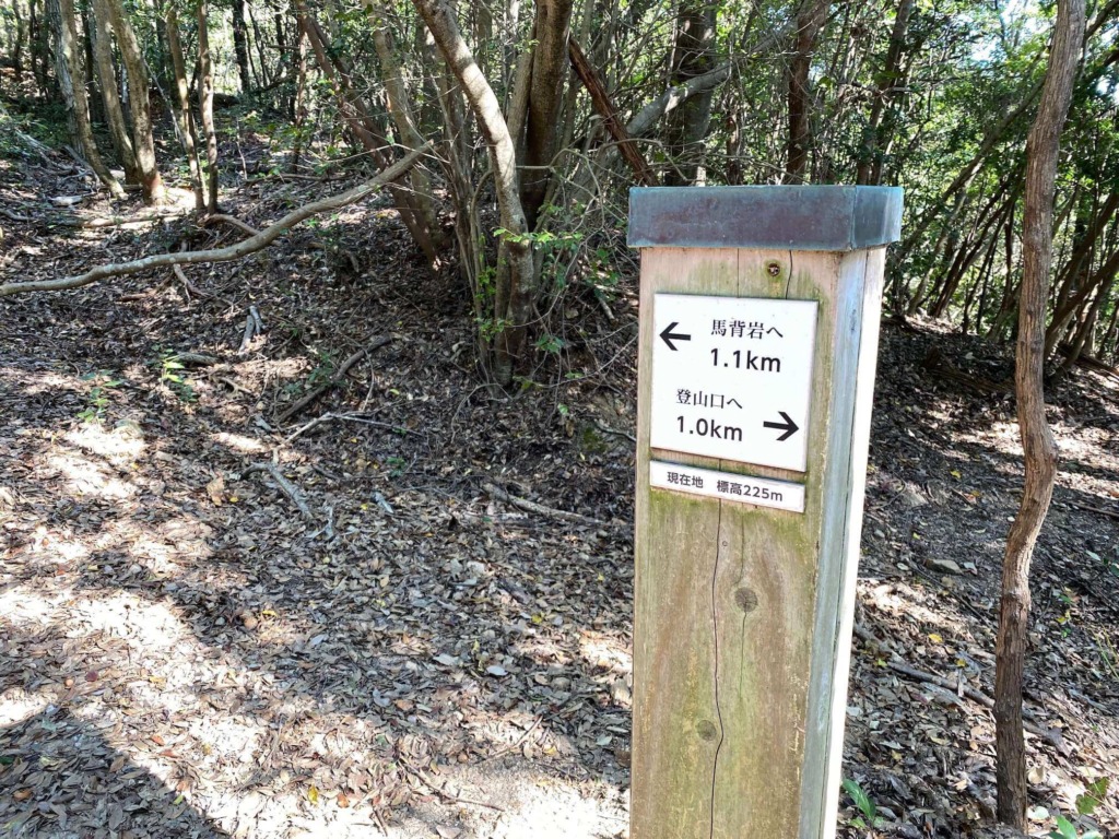 本宮山 登山 標高225m