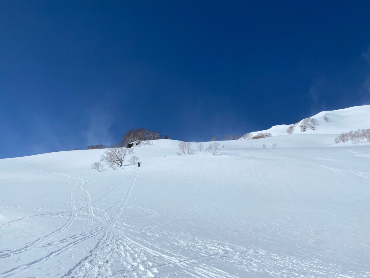 白馬乗鞍岳BC 金山沢 標高2300m手前の登り