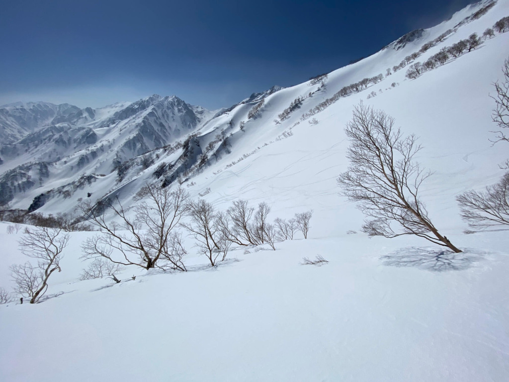 白馬乗鞍岳BC 金山沢 上部