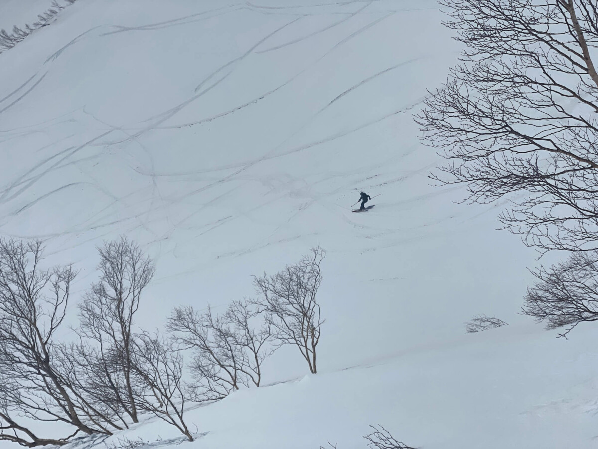 白馬乗鞍岳BC 金山沢 滑走