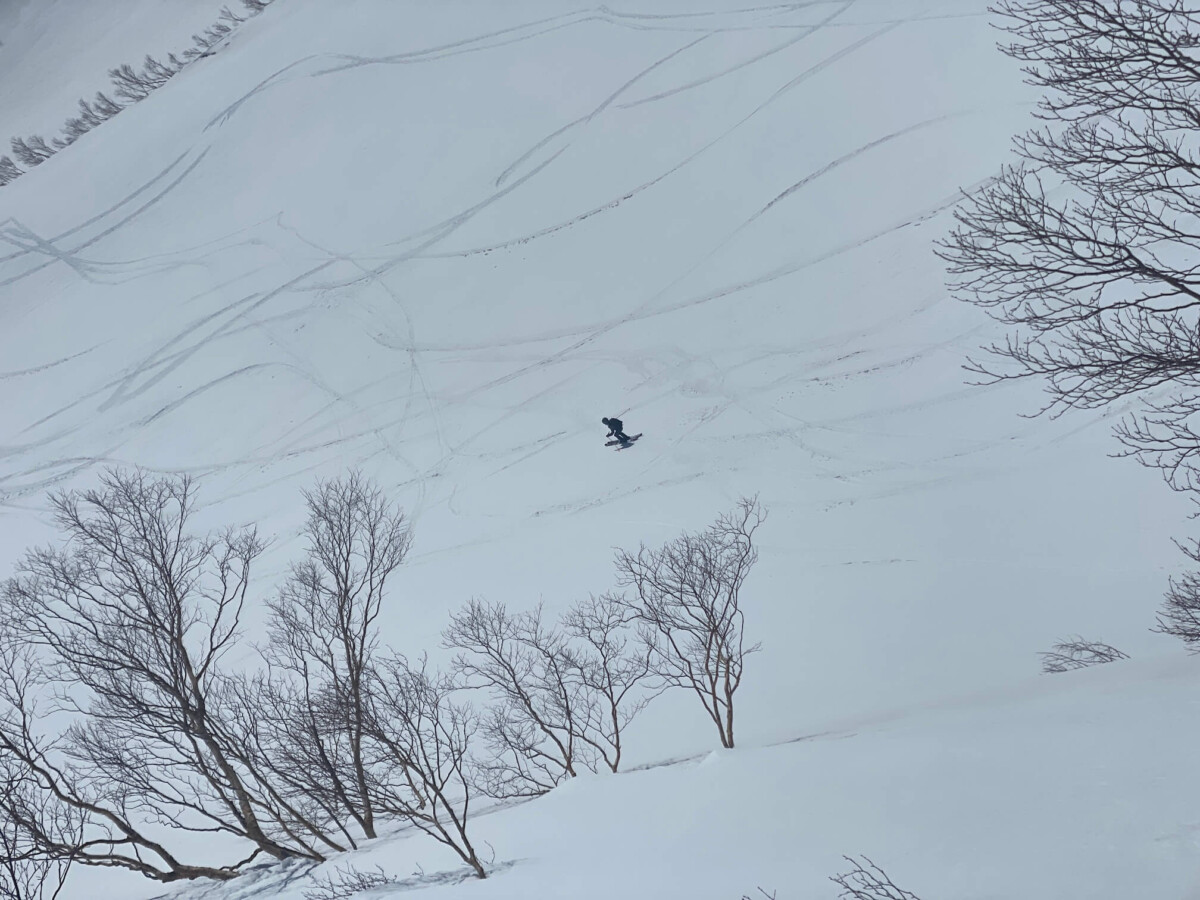 白馬乗鞍岳BC 金山沢 滑走