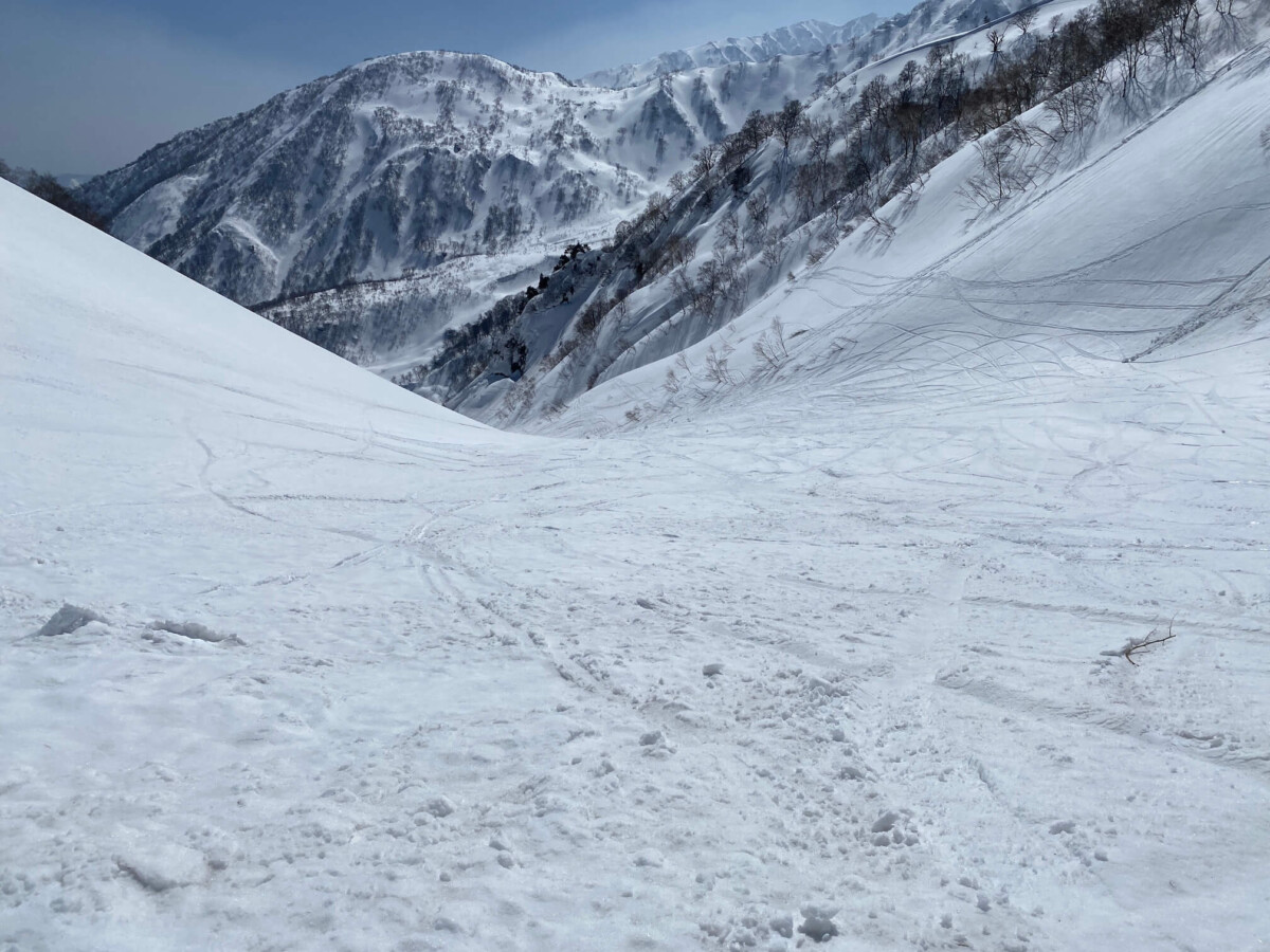 白馬乗鞍岳BC 金山沢 中間