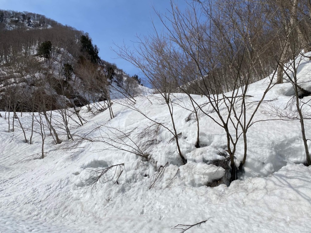 唐松岳 八方尾根BC 八方沢 林道合流点