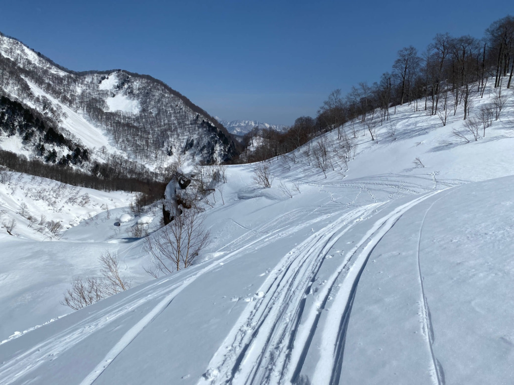 白馬乗鞍岳BC 金山沢 二俣林道