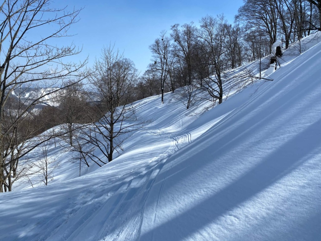 白馬乗鞍岳BC 金山沢 二俣林道 トラバース