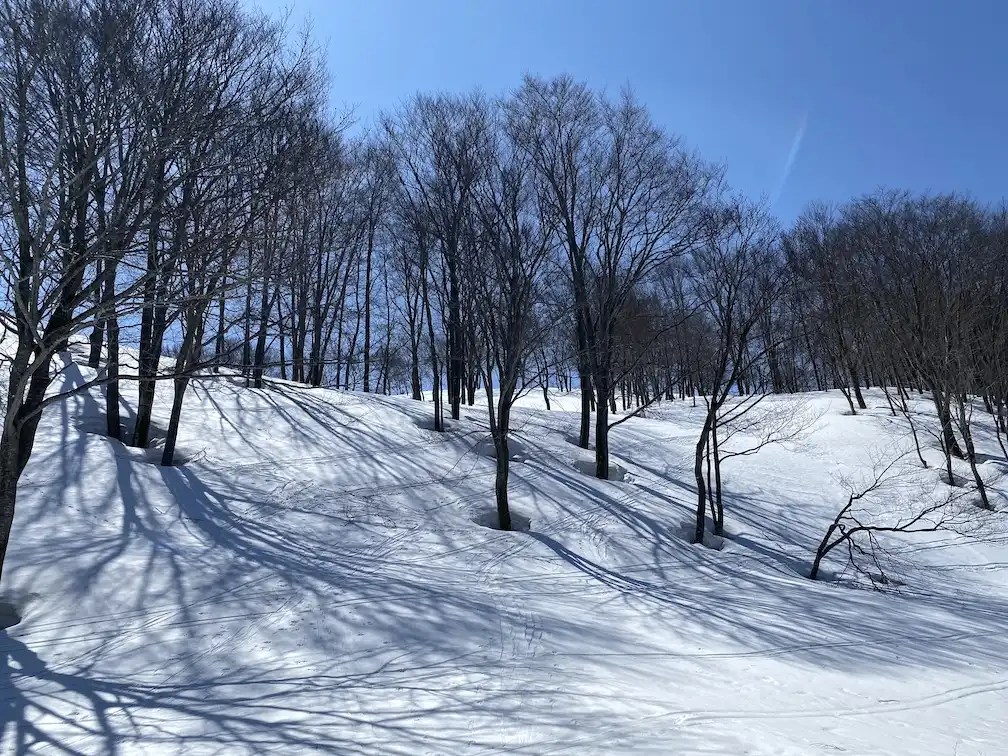 放山BC 尾根を目指す