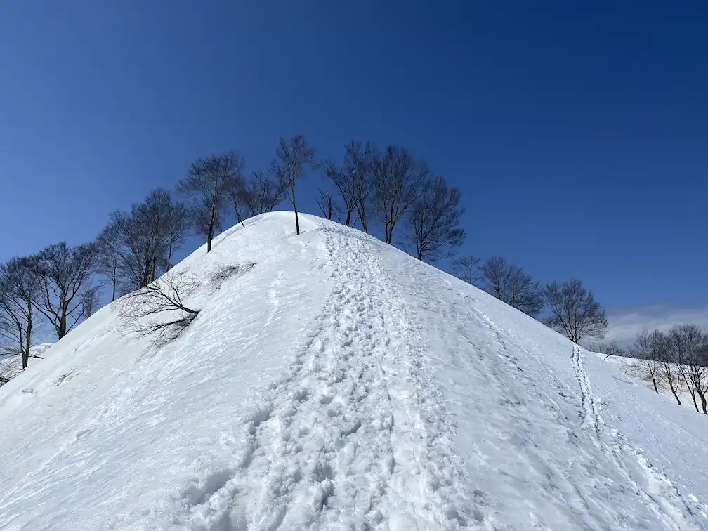 放山BC 急登を登る