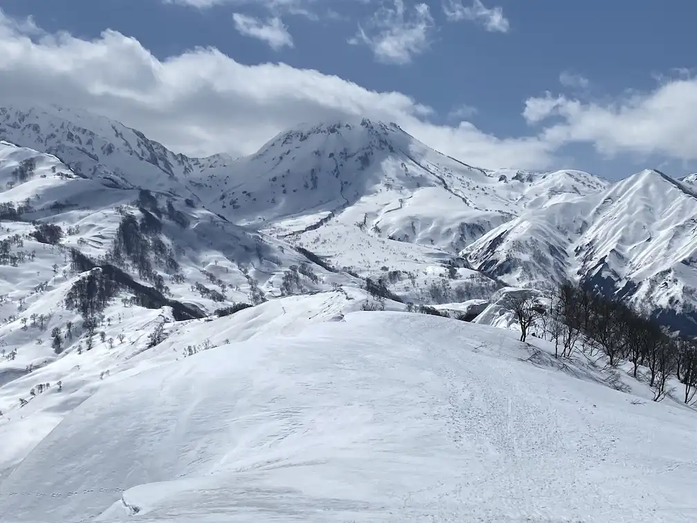 放山BC 焼山 北面台地